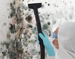 Environmental Consulting for Mold Prevention in Lorena, TX